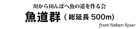 魚道群-川から田んぼへ