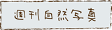 Rʐ^