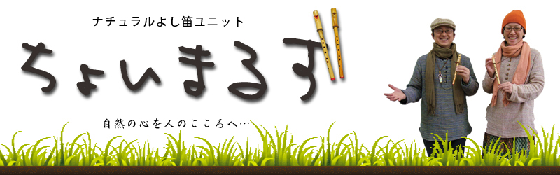 傢܂邸
