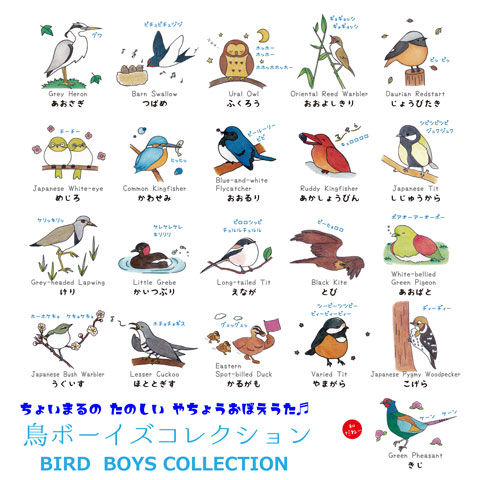野鳥おぼえ歌　鳥ボーイズコレクション