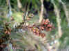 sugi0501web.jpg (25678 oCg)