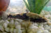 donko0501web.jpg (27391 oCg)