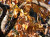 kusunoki0511web.jpg (54165 oCg)