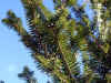momi0501web.jpg (68616 oCg)