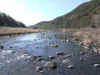 20060122-nabarigawaweb.jpg (36321 バイト)