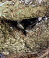 2060122-udagawaweb.jpg (48196 バイト)