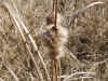 himegama060202web.jpg (45029 oCg)