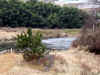 20060219kidu0001web.jpg (47894 バイト)