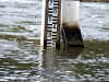 20060219kidu0003web.jpg (49589 バイト)