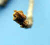 20060219kidu0009web.jpg (10622 バイト)