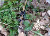 20060219kidu0010web.jpg (47889 バイト)