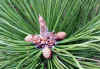 20060219kidu0013web.jpg (44175 バイト)