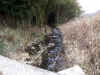 20060219nabari0002web.jpg (58568 バイト)
