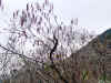 20060219nabari0004web.jpg (59032 バイト)