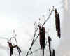 20060219nabari0005web.jpg (19432 バイト)