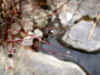 20060219nabari0010web.jpg (17422 バイト)
