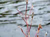 20060219nabari0012web.jpg (20463 バイト)