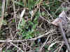 20060219nabari0014web.jpg (66206 バイト)