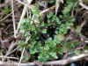 20060219nabari0015web.jpg (30879 バイト)