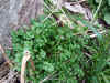 20060219nabari0017web.jpg (56757 バイト)