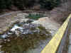 20060219shorenji0001web.jpg (48643 バイト)