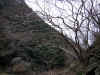 20060219shorenji0007web.jpg (59525 バイト)