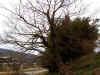 20060219uda0003web.jpg (58030 バイト)