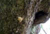 20060219uda0004web.jpg (34456 バイト)