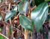 20060219uda0005web.jpg (30734 バイト)