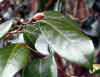 20060219uda0006web.jpg (25531 バイト)