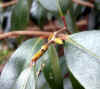 20060219uda0008web.jpg (24837 バイト)