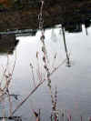 20060219uda0012web.jpg (27508 バイト)