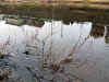 20060219uda0013web.jpg (42165 バイト)