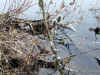 20060219uda0014web.jpg (58163 バイト)