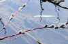 20060219uda0015web.jpg (19589 バイト)