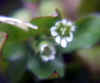 20060219uda0018web.jpg (12146 バイト)